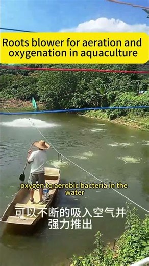 Roots blower for aeration and oxygenation in aquaculture
