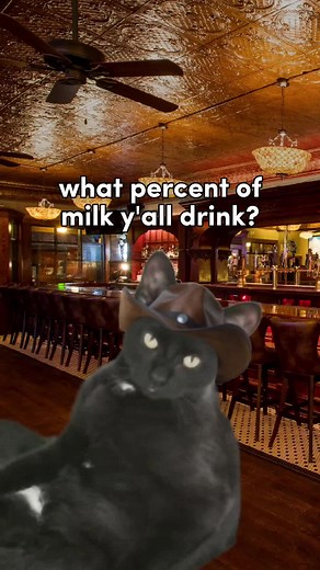 what kinda milk yall havin'? 🤠 https://slickdeals.net/share/android_app/t/16816184#catsoftiktok #cattok #catsinhats #meowdy #cowboyhat #yeehaw #howdy #cat #cute #love #cats #cowboycat #partner