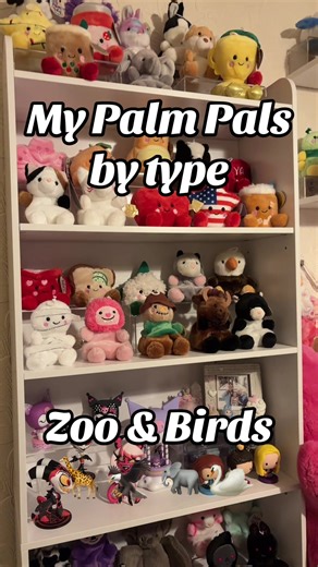 Zoo & Birds are here! I know Palm Pals categorise them, but this is just how I categorise my Palm Pals ☺️ @Palm Pals #fyp #palmpals #palmpalscollector #plushies #palmpalsuk