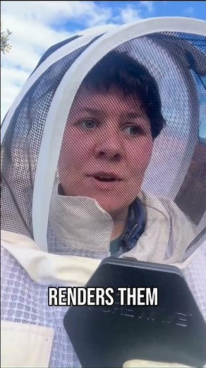 A Magnet To Save The Bees???