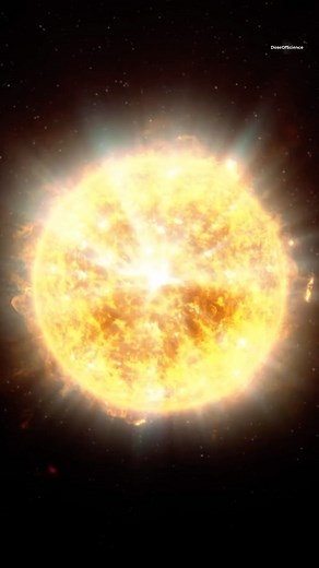 Random Curiosities 22 🌍 🌌 #science #education #knowledge #learning #life #universe #cosmos #nature #sciencefacts #educational #curiosity #randomfacts #planets #plants #animals | Doseofscience