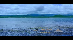 973 reactions | #GansuPremiumTravelRoutes #MysteriousGannan ⛰️Vast...