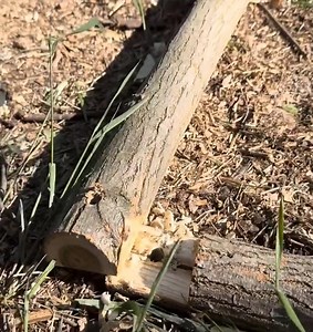 Building a secret dugout with a moving elevator #Camping #bushcraft #Shelter #Survivalinthejungle #Asmr #forest #nature #Outdoor | Bushcraft Travel & Adventure