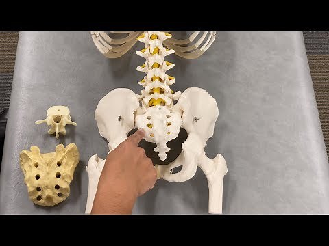 OMT: Somatic Dysfunction Sacrum Part 1