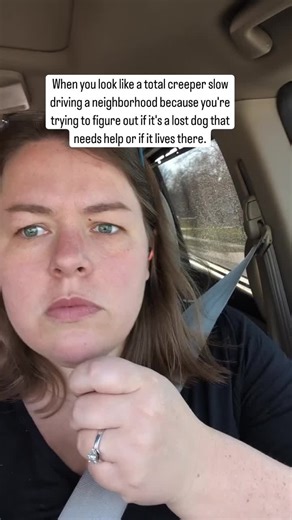 There's a fine line between being a dog rescuer and an accidental dog thief. Also, this is true footage of me parked in a neighborhood this morning because I stalked a stray dog back to its house and waited to make sure that dog actually lived there and wasn't lost. This is like a weekly conundrum for me. Oh sorry I was late, I was stalking what I thought was a stray dog in need of help. *Car is parked! . . . #kelsewhatelse #midwestmom #straydog #kansascityinfluencer FYI this is a repost from 20