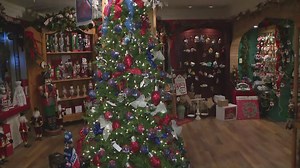 Largest Christmas store in NYS is home of fun-themed trees and other decorations