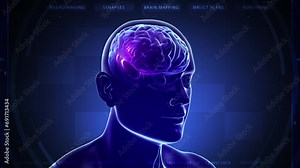 3D Animation of Human Head Rotating. Technology Interface. Electrical Impulses Shinning inside the brain. Synapse, Neuroimaging, Brain Mapping
