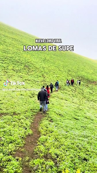 📍FULL DAY LOMAS DE SUPE📍 Las lomas de supe se encuentra en el distrito de Supe en la provincia de barranca en el departamento de Lima a tan solo 3 horas de Lima se encuentra este paraíso lleno de verdor y naturaleza un destino ideal para pasarlo en familia o tu persona favorita . FECHAS PROGRAMADAS 21 de septiembre ◾Puntos de embarque: LA RAMBLA PLAZA NORTE ⬛ 𝗤𝗨𝗘 𝗜𝗡𝗖𝗟𝗨𝗬𝗘 Transporte turístico ida y vuelta. Guía de turismo y/o Asistente de Turismo Gratis 1 vino para el cumpleañero (con