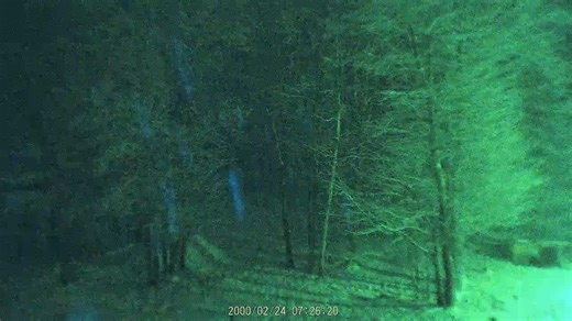 #nightvision #nightvibes #night #nightcore #forest