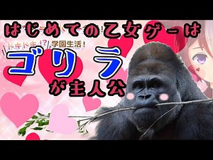 【初乙女ゲーがこれ】ゴリラが主人公の乙女ゲーム！ ｳﾎｯおもしれー女。【新人Vtuber/雪星ケン】