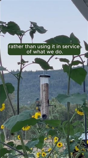 Are You Using Your Imagination Backwards?