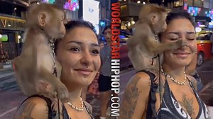 Things Took A Wild Turn After Monkey Grabbed Woman's Nose!