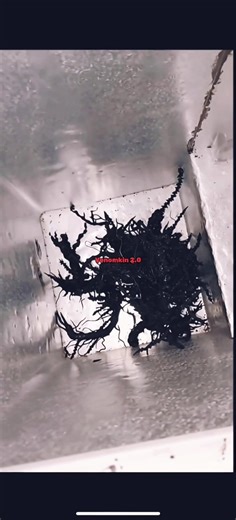 Venomkin 2.0: Unleashing Alien Powers