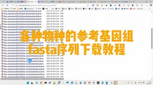 各种物种的参考基因组fasta序列下载教程，代做各领域生信分析和辅导