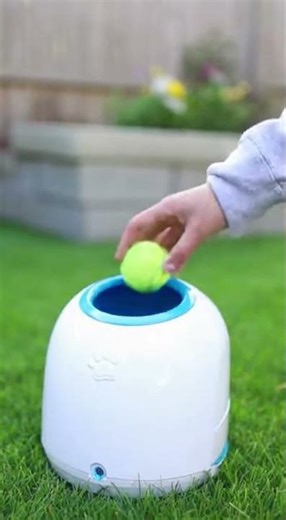 Dog lovers, do your dogs love to play fetch? they'll love this dog toy