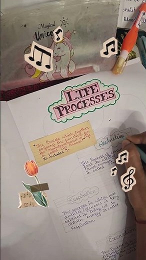 Preparing Your Path to 95+! 📚 | Class 10 Life Processes Notes in Progress