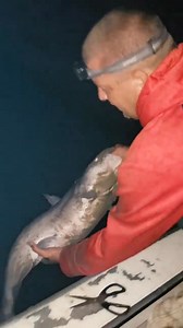 #untilnextseason #bigsiouxriver #bluecatfish #catfishing #catfishcapone #wheretheriverturns | Catfish Capone | Facebook