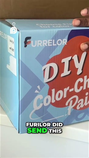 DIY Frosted Window Makeover: Watch My First Painting Fail!