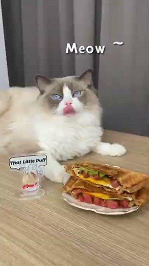 The Meow Chef | That Little Puff (May 16)