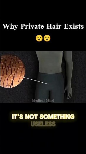 “Why Do We Have Hair on Private Parts? The Real Reason Will Shock You!” 😱