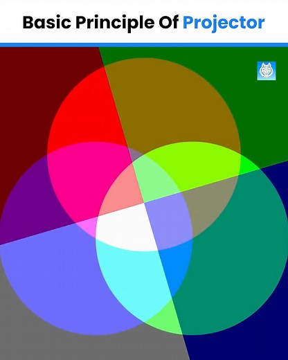 Basic Principle Of Projector . . #science #electricity #LifeADA #lifeada #viralfbreels #3danimation #mustmatch | LifeAda