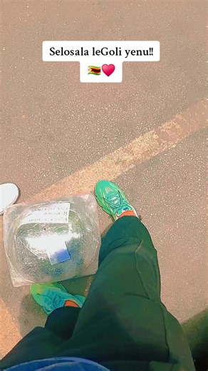 Homeward Journey: Arriving Back in Zimbabwe