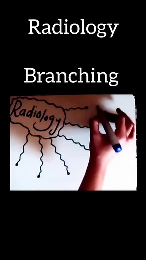 Exploring the Branches of Radiology