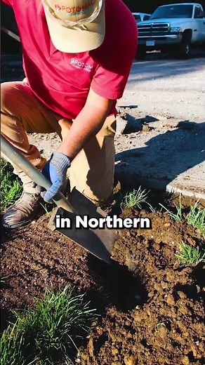 What Do Fertilizer Numbers Mean?