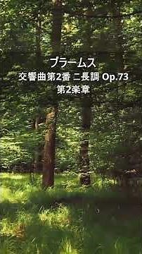 ブラームス：交響曲第2番 ニ長調 Op 73 第2楽章Short