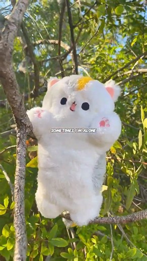 Is This The Cutest Cat Plushie Ever? 🥹💘