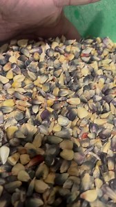 33K views · 749 reactions | Corn whiskey #philbillymoonshine #sourmash #moonshine | Phil Billy Moonshine | Facebook