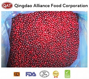 [Hot Item] Premium Quality Frozen Cranberries - BRC Certified Fresh IQF Fruits