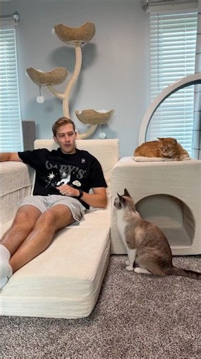 BEST COUCH EVER