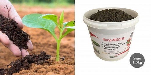 Sang séché, corne broyé… ces engrais naturels insolites !