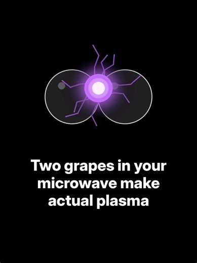 Why Grapes Create Plasma in a Microwave — Real Physics Explained