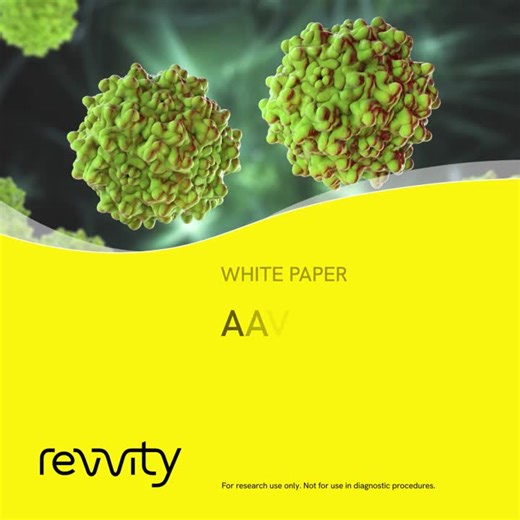 Gene therapy holds transformative potential—but scaling AAV vector production remains a critical hurdle.Our white paper explores key manufacturing challenges and emerging solutions to help… | Revvity for Life Sciences