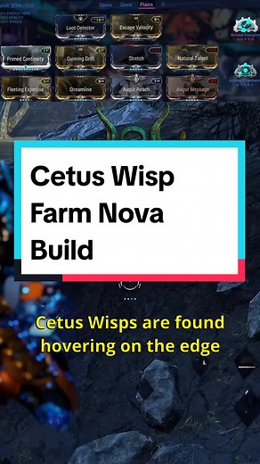 Cetus Wisp Farm Nova Build #warframe #warframecommunity #warframetiktok #cetus #wisp #cetuswisp #wispfarm #nova #novabuild #build