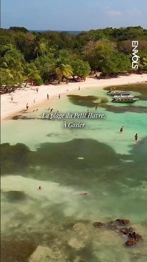 Les 5 plus belles plages de Guadeloupe 🏝️🌊