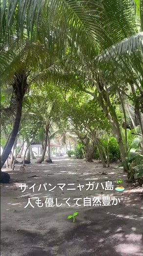 マニャガハ島🏝️#旅行 #旅行vlog #旅行好き #travel #travelvlog #saipan #サイパン #旅 #海 #海外旅行 #海外