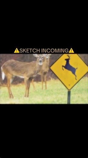 Abby Oster on Instagram: "Sketch comedy is fun 😭🦌🤣✨⚠️🚨 #explore More like this?"