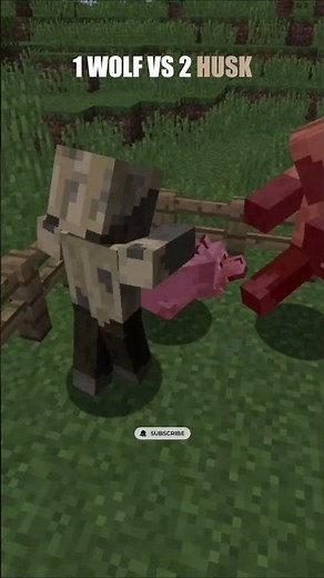 1 WOLF VS 2 HUSK #minecraft