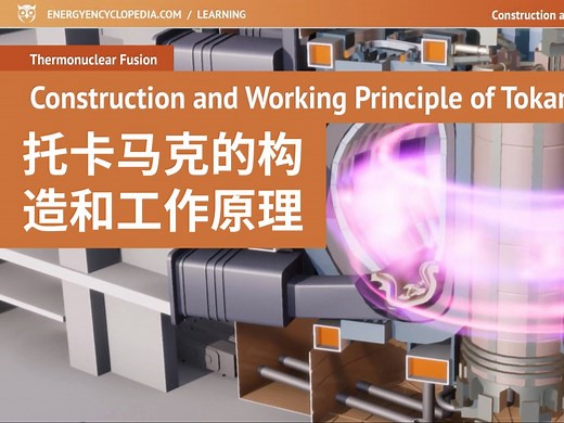 2.托卡马克装置的结构和工作原理Construction and Working Principle of Tokamaks