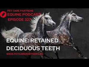 EP 327: Retained Deciduous Teeth in Horses | Causes, Diagnosis & Treatment Explained
