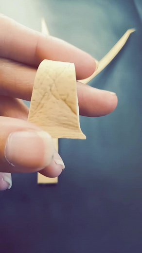 Exploring a Unique Collection of Leather and Gothic Items