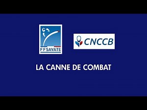 CANNE de COMBAT