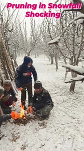 320K views · 2.2K reactions | Pruning in Snowfall Shocking #pruning #livesnowfall #Goodbye2024 #trendingnow #trendingreels2024 #viralchallenge | Tapper udhan vlogs | Facebook
