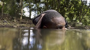 6K views · 192 reactions | Dash - The Tape [Power Soca Monarch Intro] | PAPI | Facebook