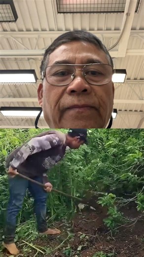 "DIY weeder-fast & easy!"