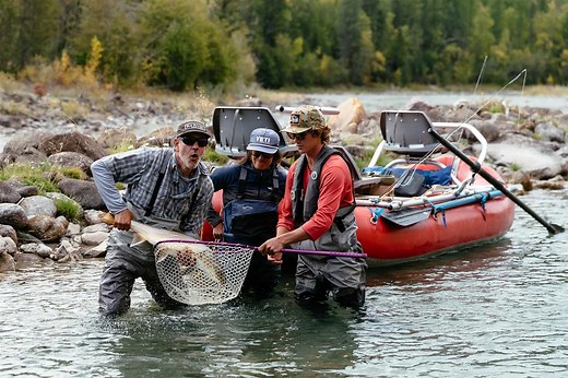 Fly Fishing the Elk River in Fernie BC - Experience Fernie Trout Town