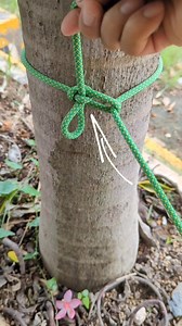 8.5K views · 121 reactions | Tie a rope easy to Untie/ Siberian hitch knot. #MasterKnot #reels #knots #idea #stringline #knotsforclimbing #hacks #knottutorials #ropecoilingknot #Bowline | Weekofknots | Facebook